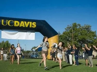 Incredible Inflatable Arch Gates Transform Events in Minute