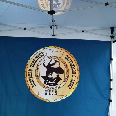 Why Is ASAP Canopy Priced So High