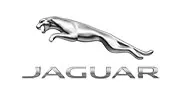 Our Customer Jaguar