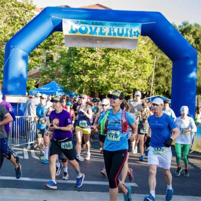 inflatable arch wholesale